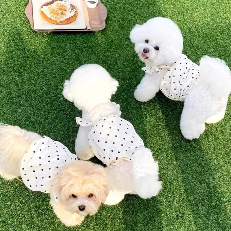 Dot Pet Dress