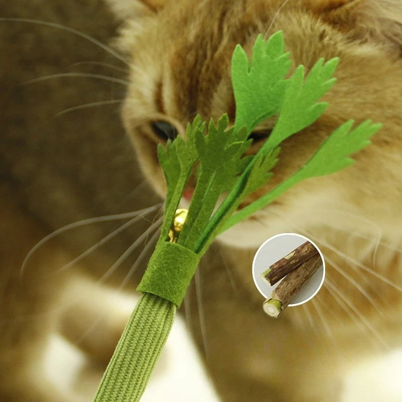 Natural Catnip Chew Toy with Bell