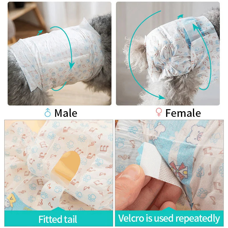 Reusable Female Dog Diapers