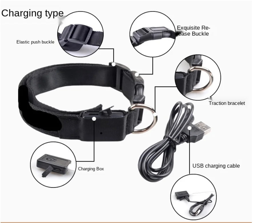 USB Rechargeable LED Glowing Pet Collar