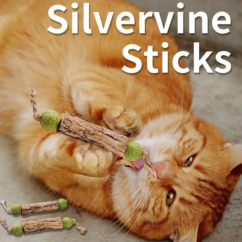 Natural Catnip & Silvervine Dental Sticks (3 pcs)