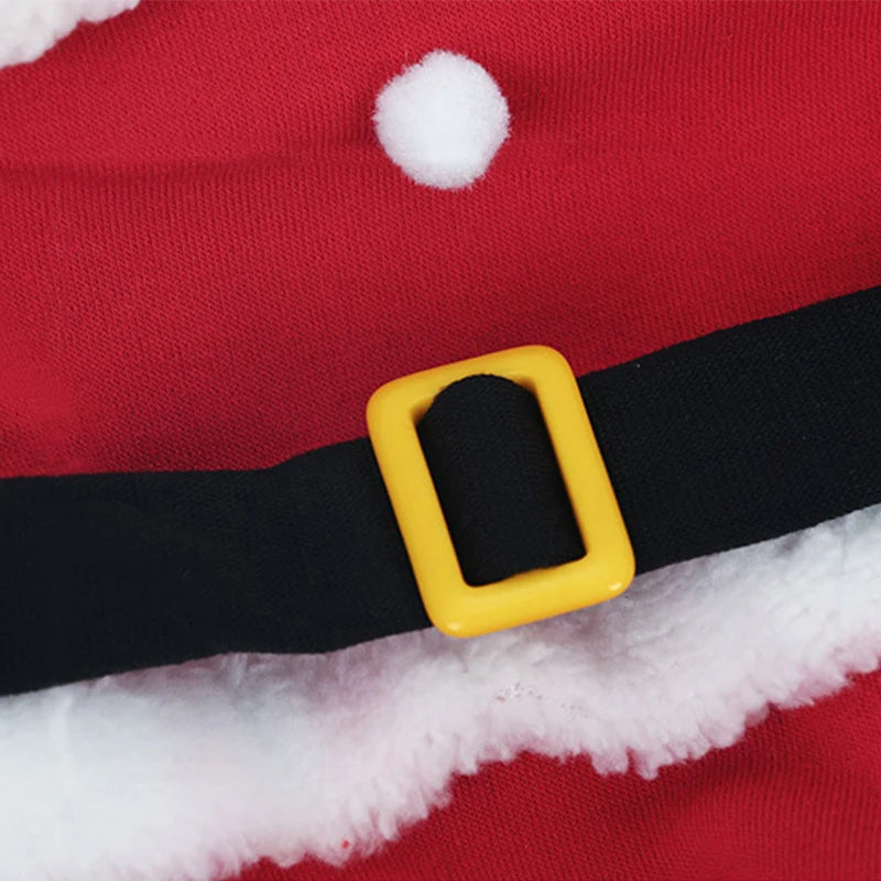 Christmas Santa Pet Costume