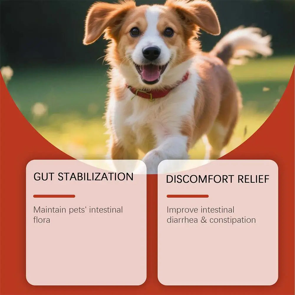 Dog Probiotic Soft Granules (100g)
