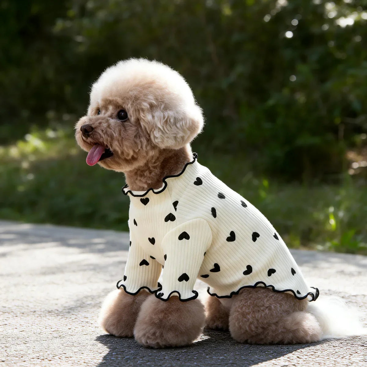 Heart Print Pet T-Shirt