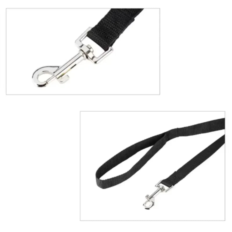 Nylon Long Dog Training & Walking Leash