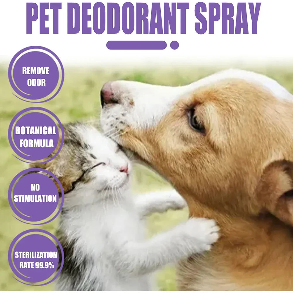 Lavender Dog Deodorizing Spray for Odor Control
