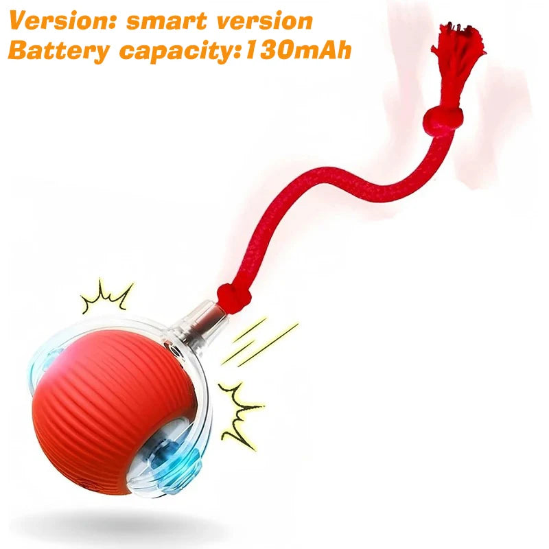 Automatic Rechargeable Interactive Dog Ball Toy
