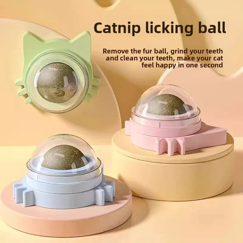 Rotatable Wall-Mounted Catnip Ball Toy
