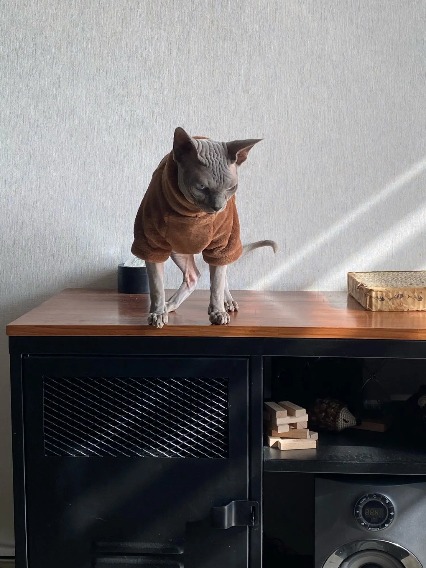 Sphynx Cat Hoodie