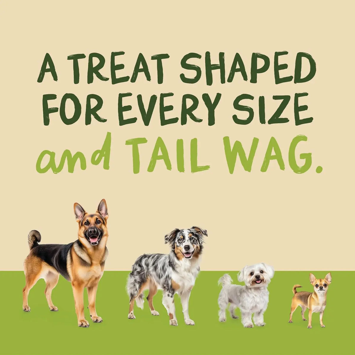 Beef Jerky Dog Treats