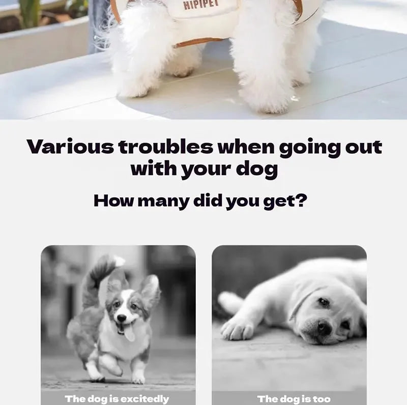 Multi-Functional Pet Carrier Backpack