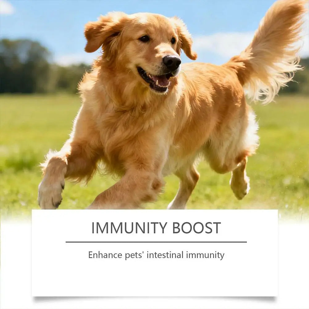 Dog Probiotic Soft Granules (100g)