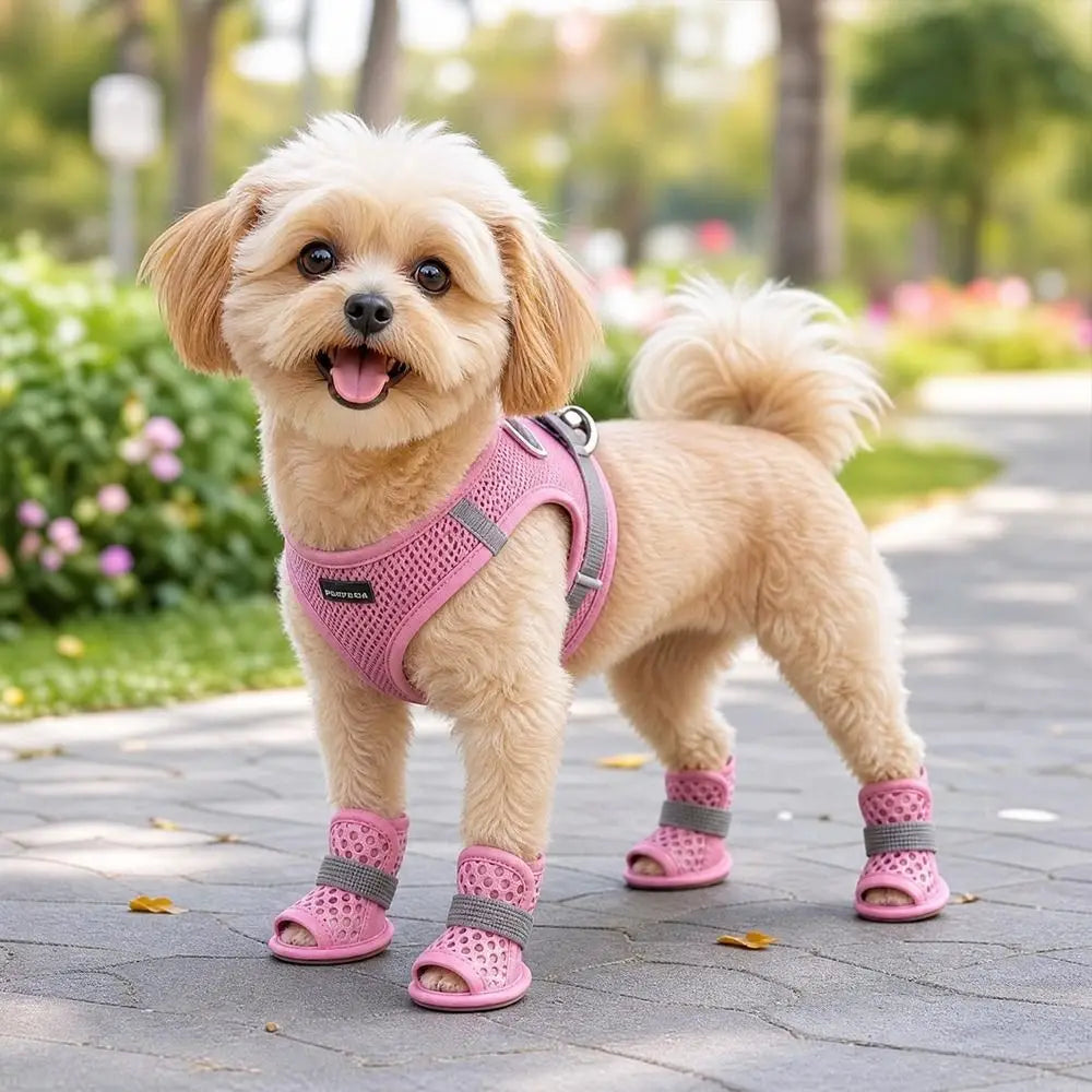 Mesh Dog Shoes