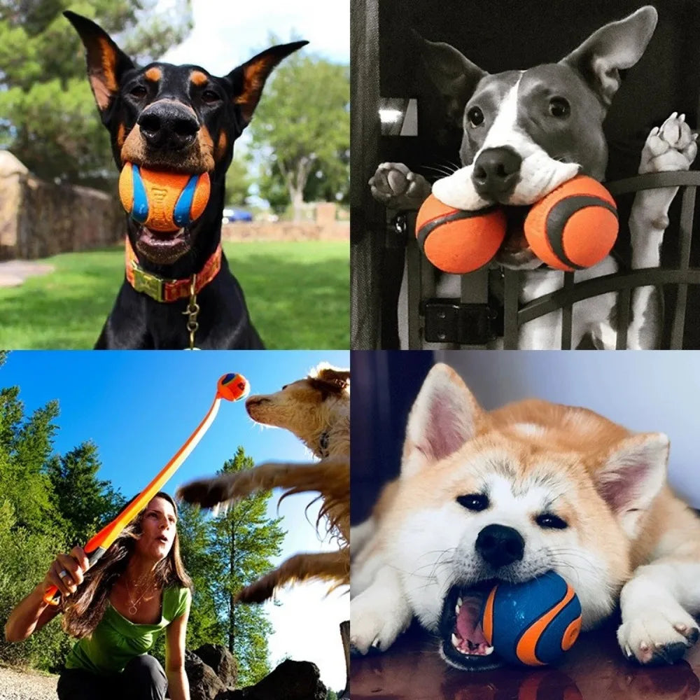 Durable Dog Fetch Ball Toy