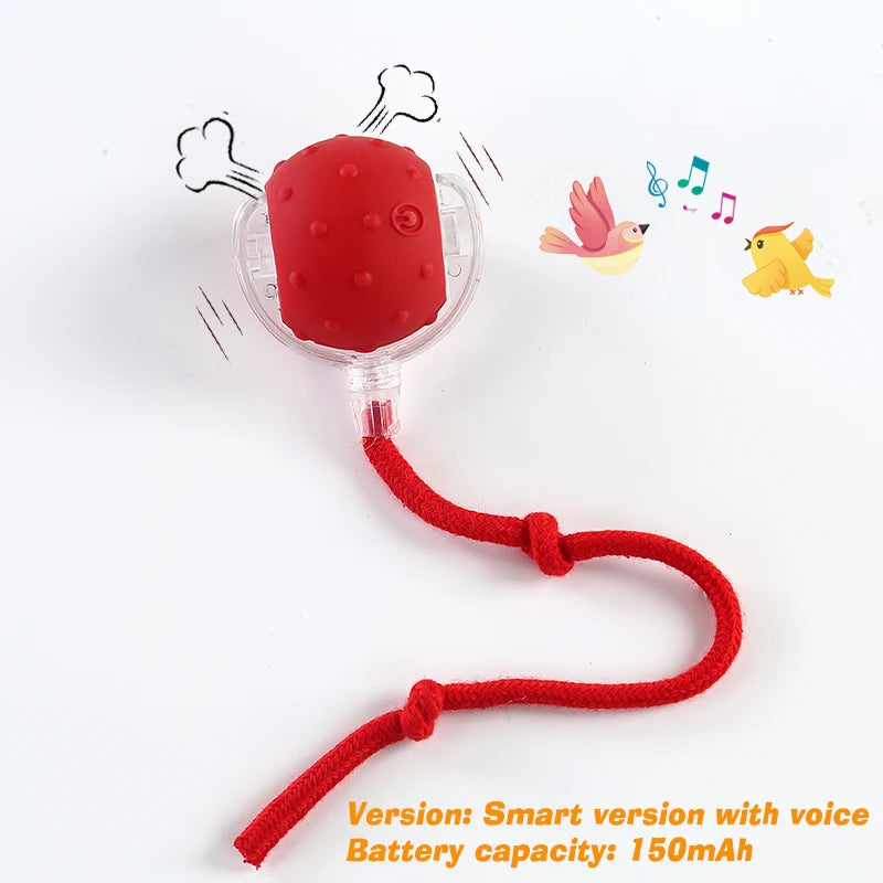 Automatic Rechargeable Interactive Dog Ball Toy