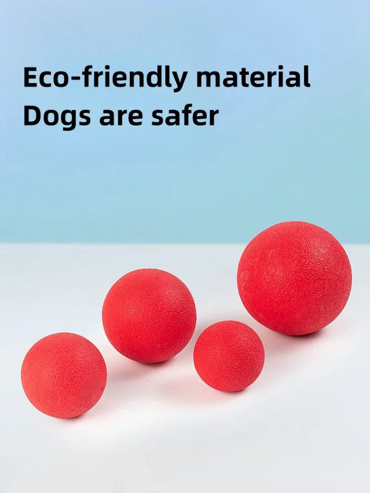Indestructible Rubber Dog Ball Toy
