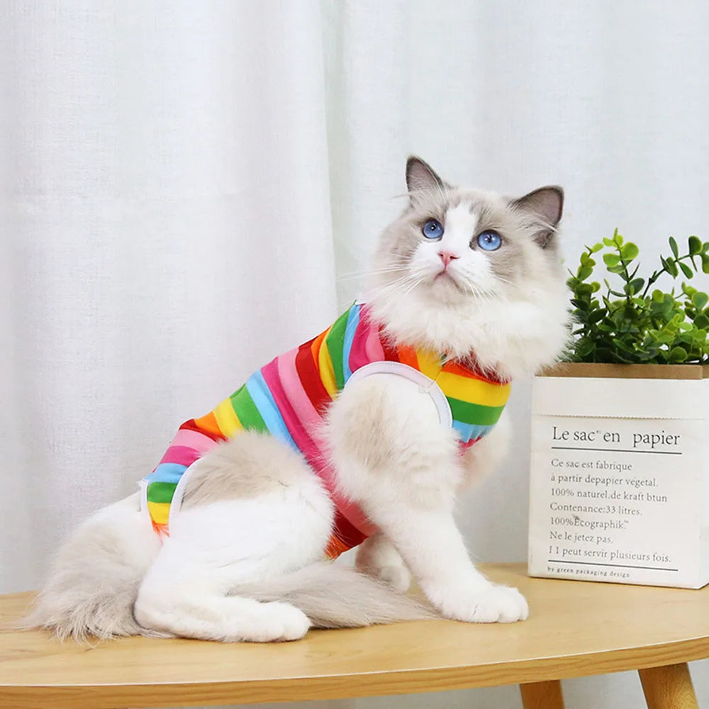 Pet Recovery Vest