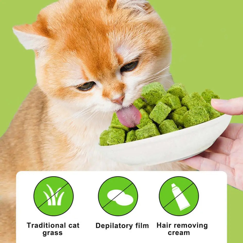 Grain-Free Freeze-Dried Cat Snacks