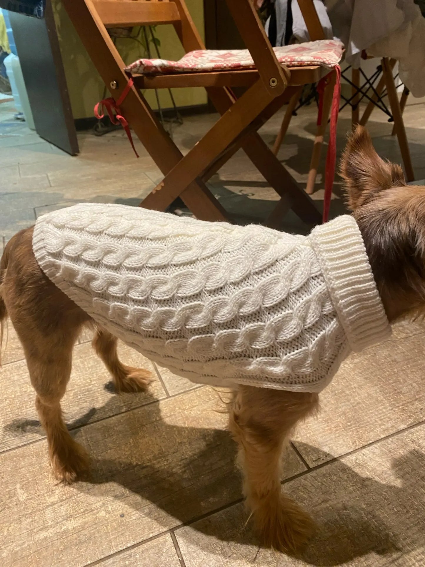 Knitted Pet Sweater