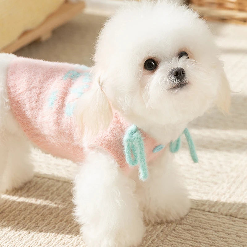 Letter Dog Sweater