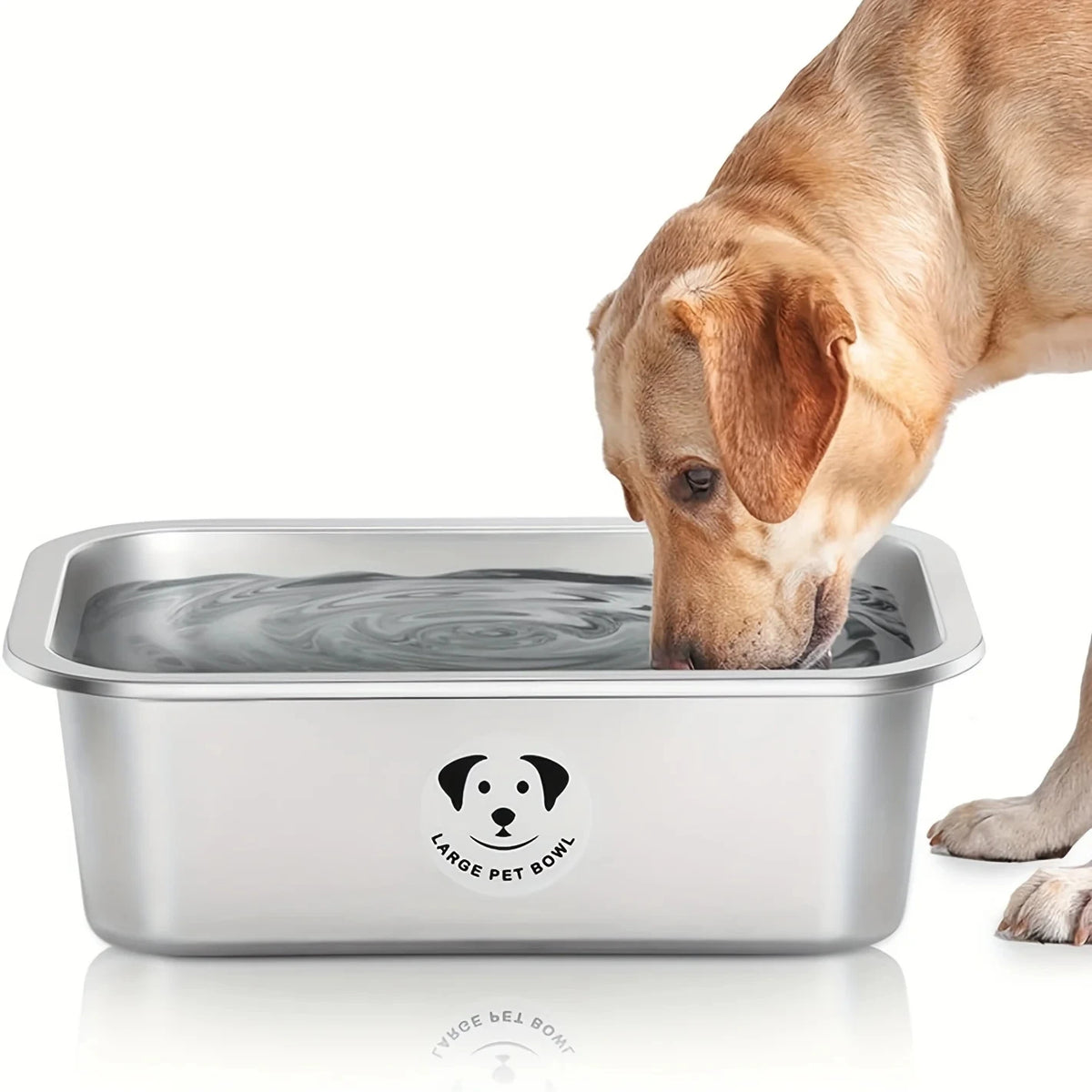 Stainless Steel Pet Food & Water Bowl