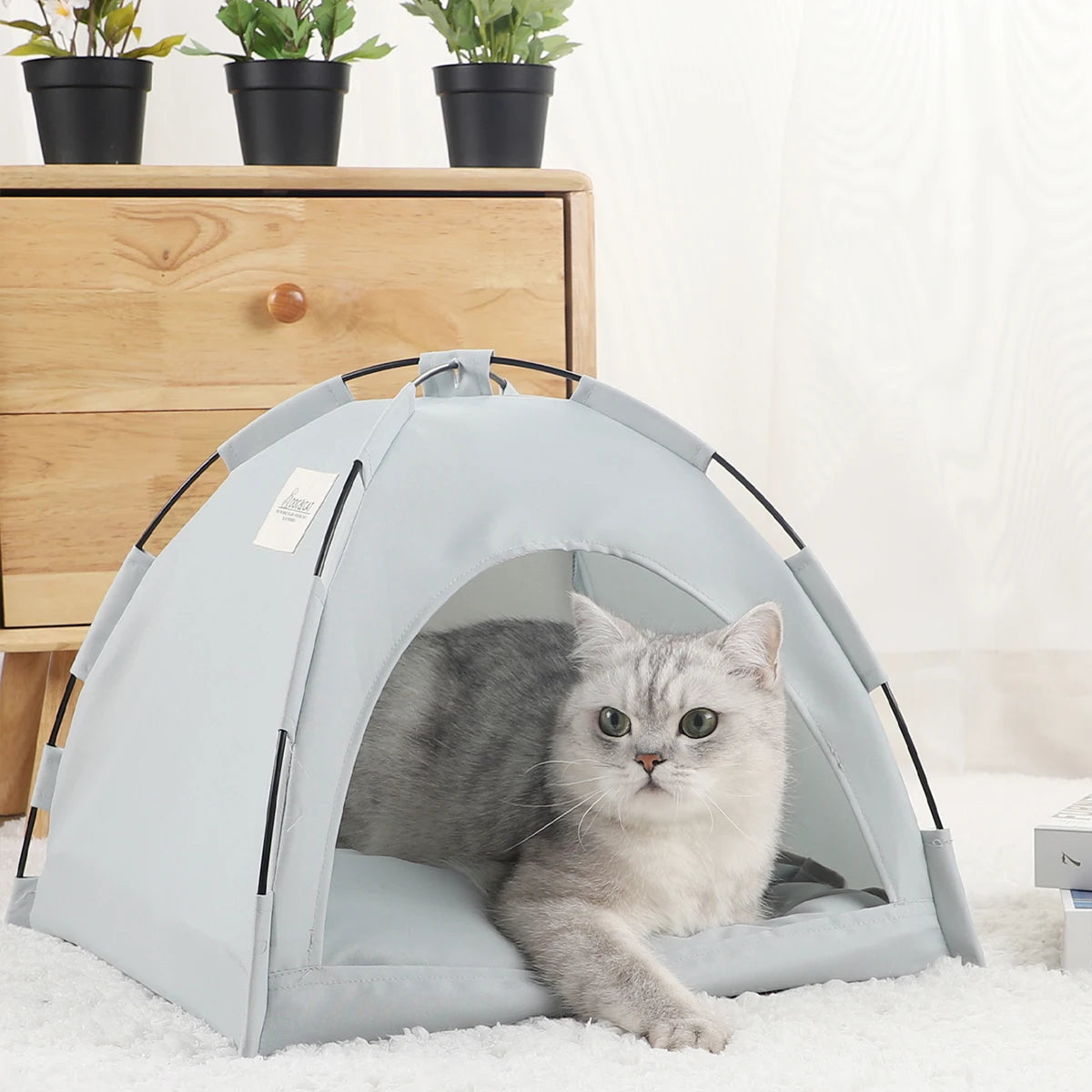 Warm Plush Pet Tent Bed with Cushion