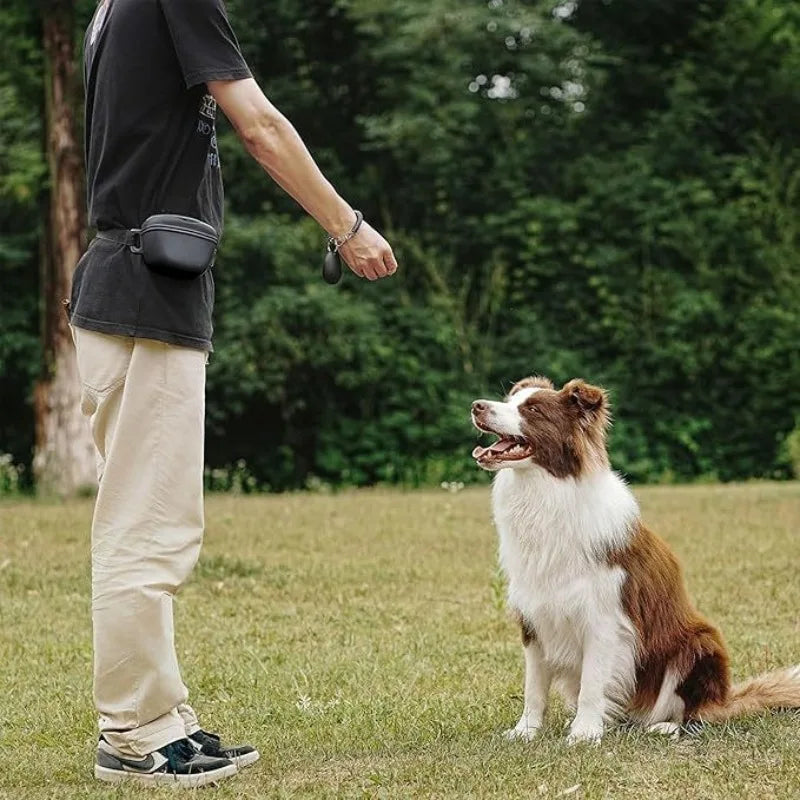 Silicone Pet Training Treat Pouch