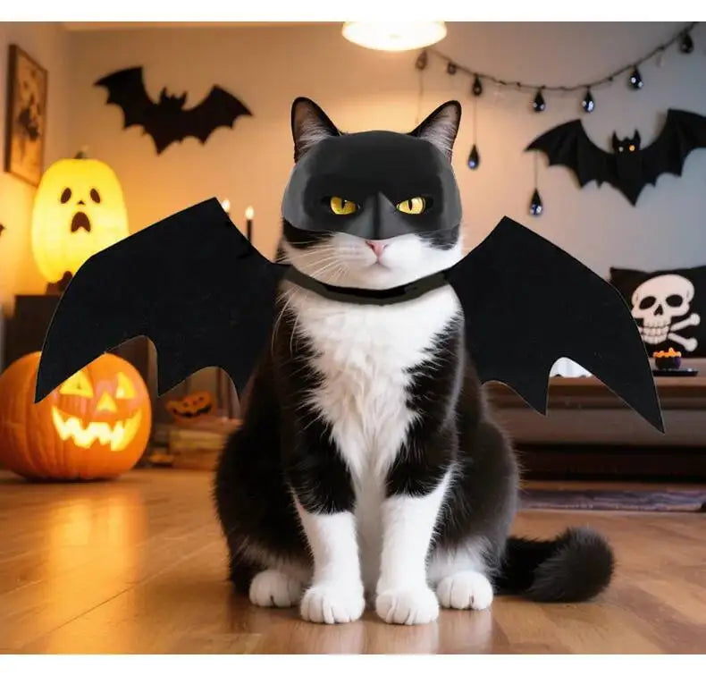 Halloween Bat Pet Costume