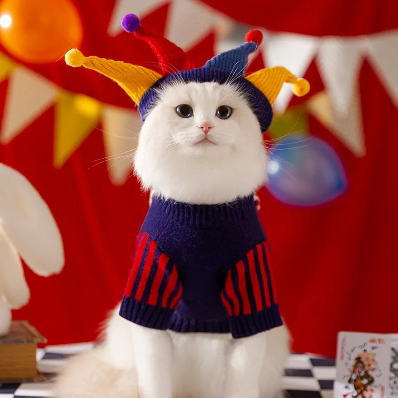 Letter Dog Sweater