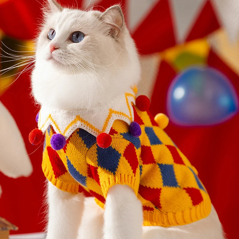 Letter Dog Sweater