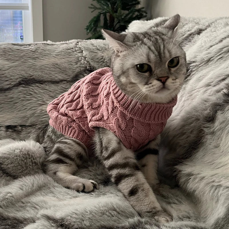 Knitted Pet Sweater