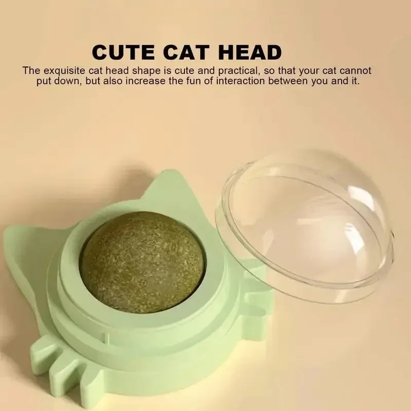 Rotatable Wall-Mounted Catnip Ball Toy