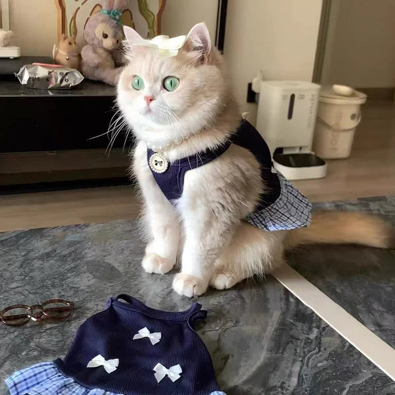 Preppy Cat Dress