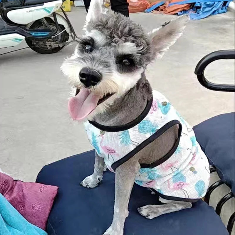 Mesh Pet Vest