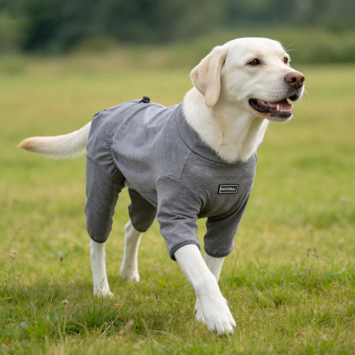 Pet Pajamas