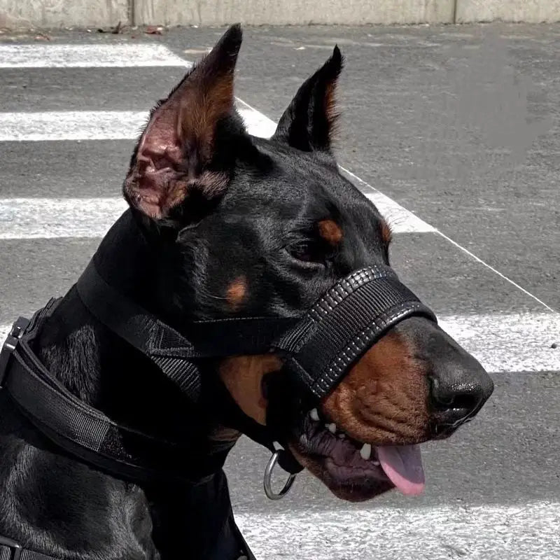 Breathable Nylon Dog Muzzle
