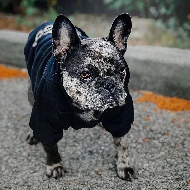 Large Dog Hoodie