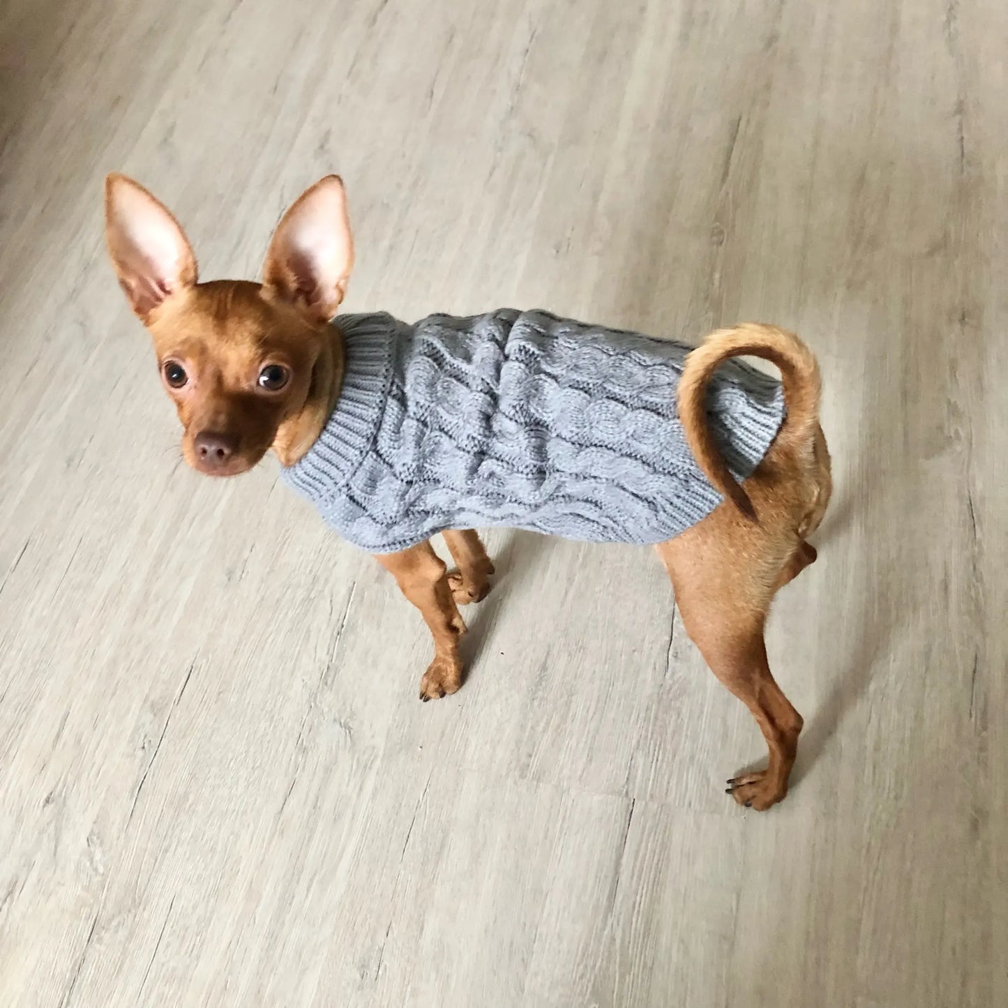 Knitted Pet Sweater