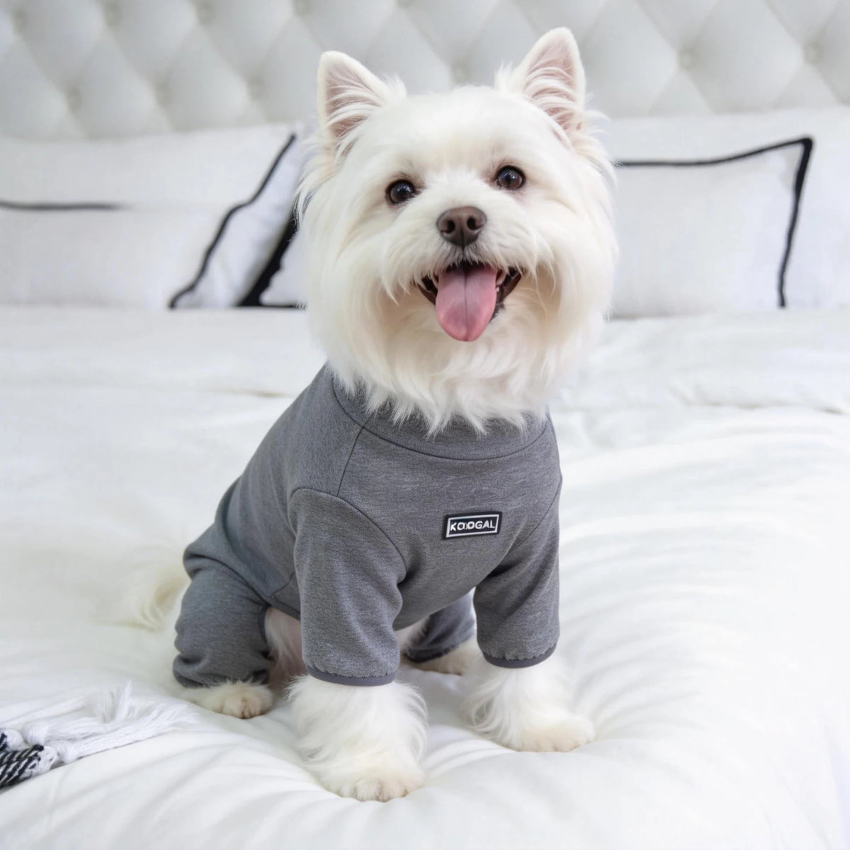 Pet Pajamas