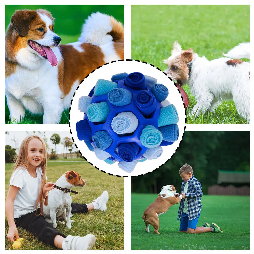 Dog Sniffing Ball Toy
