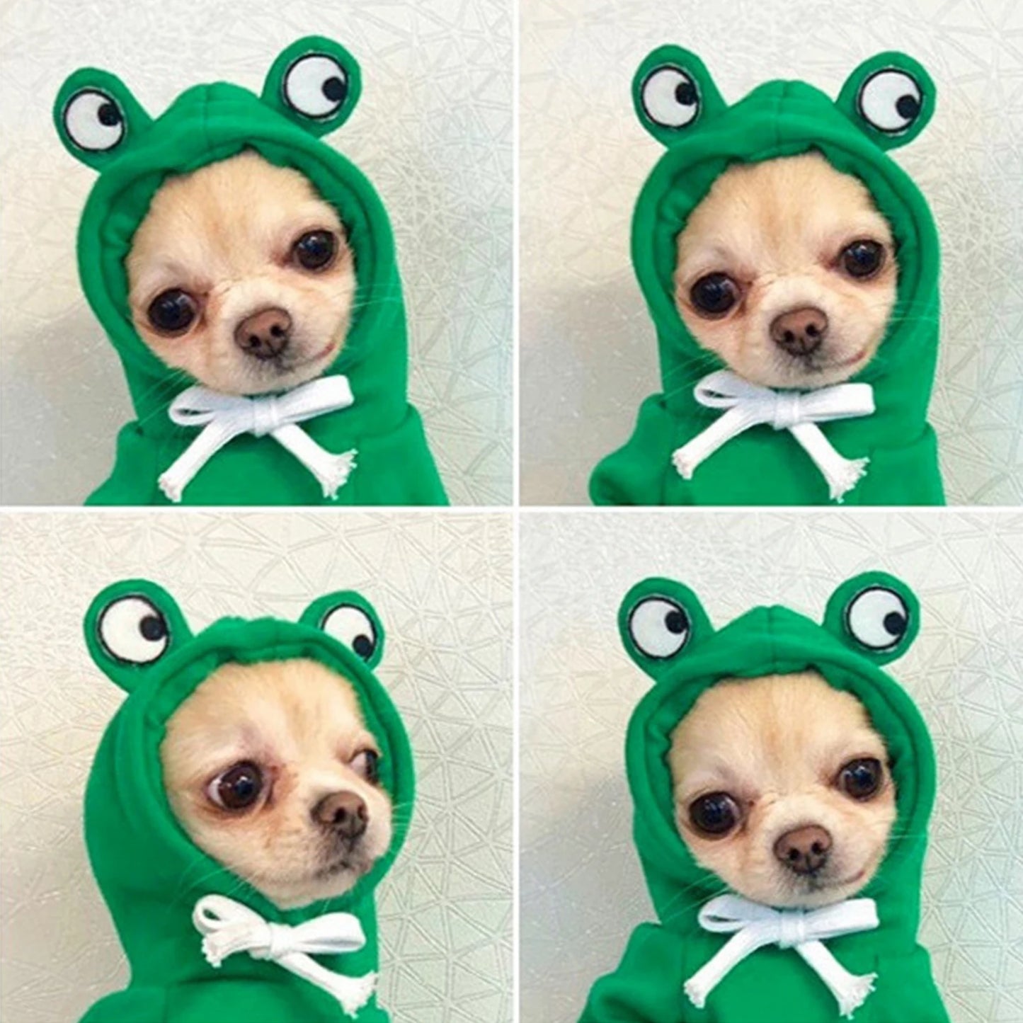 Cute Pet Hoodie