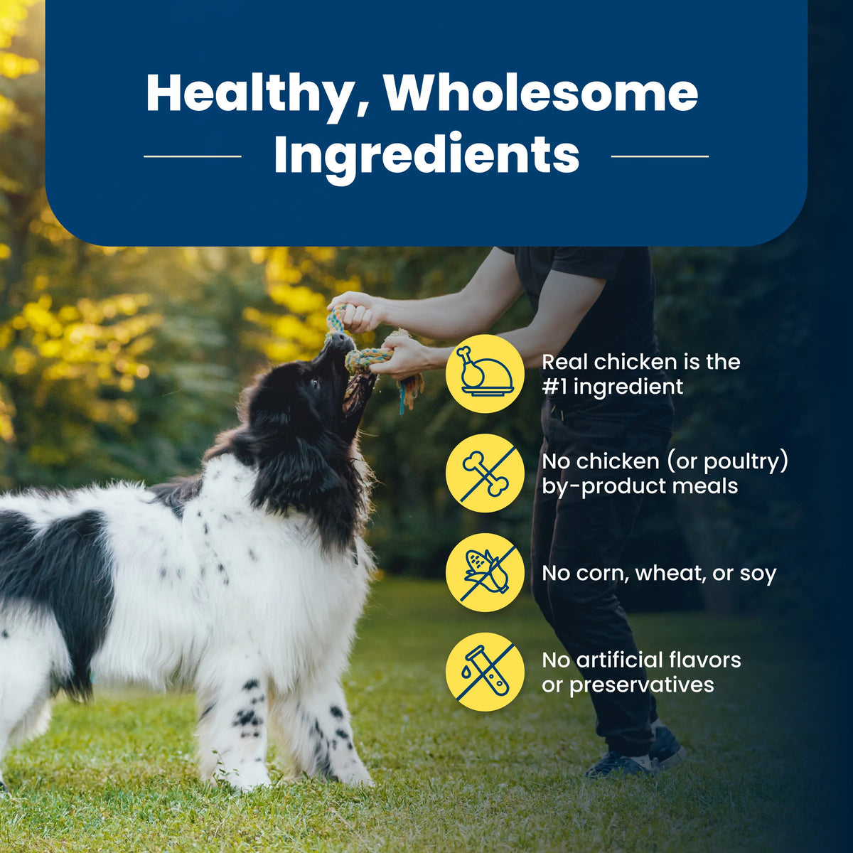 Healthy Weight Dry Dog Food
