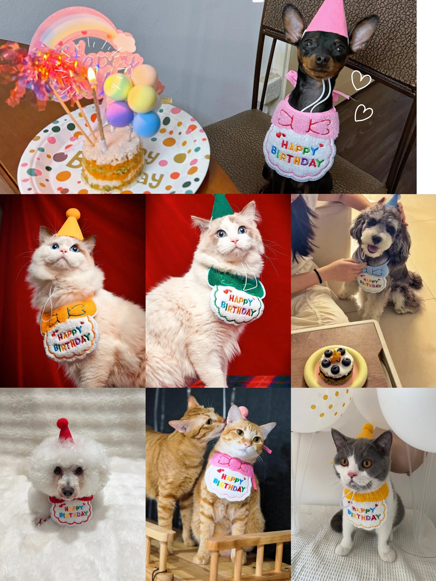 Pet Birthday Hat & Scarf Set