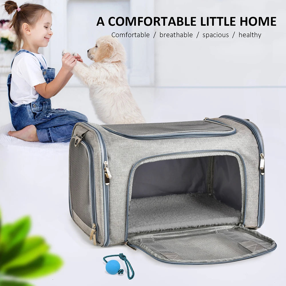 Airline-Approved Pet Carrier Backpack