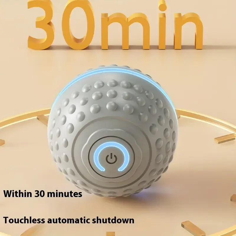 Smart Interactive Dog Ball Toy