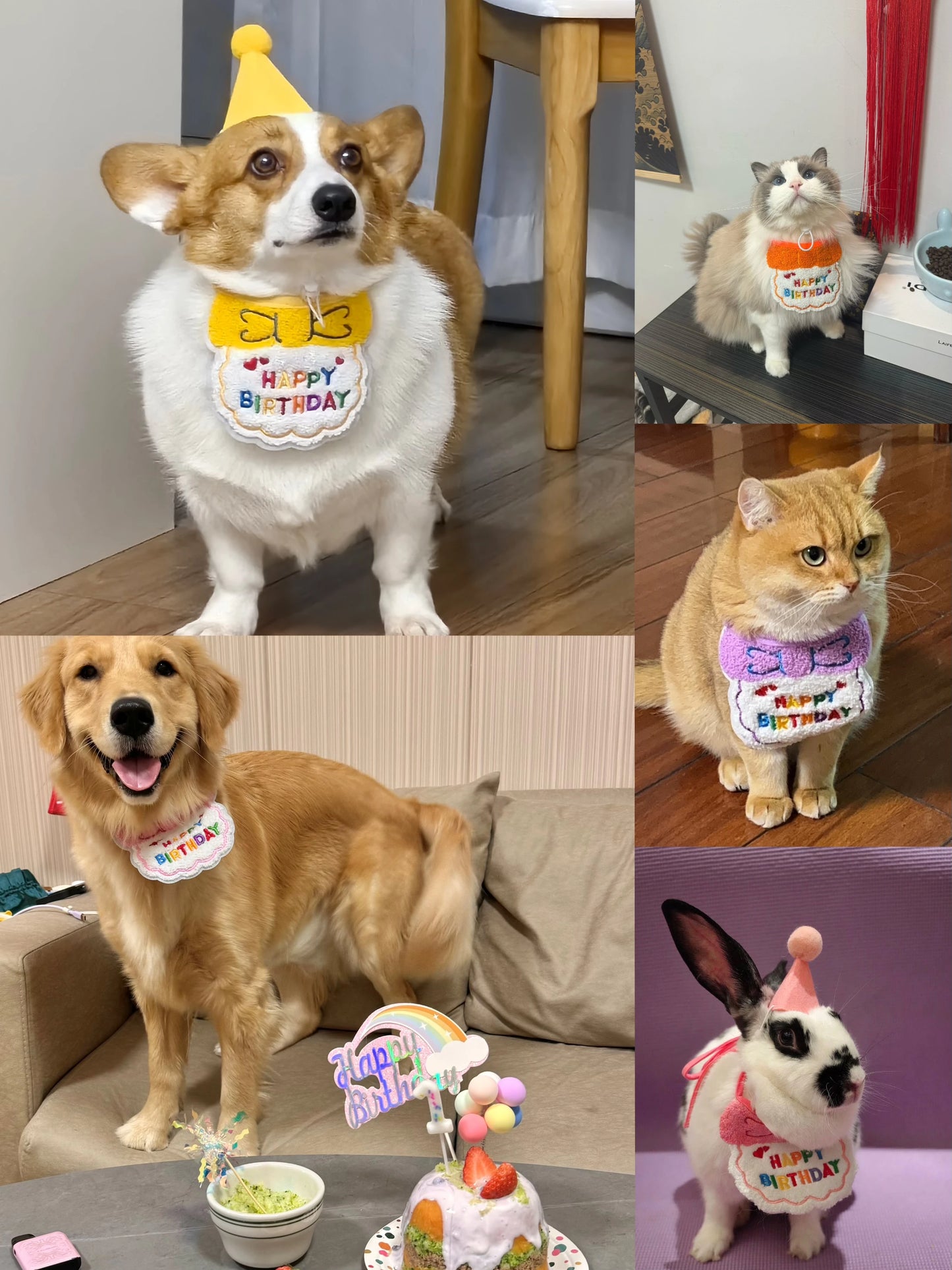 Pet Birthday Hat & Scarf Set