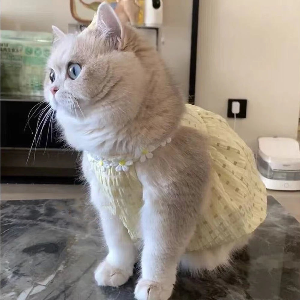 Floral Pet Dress
