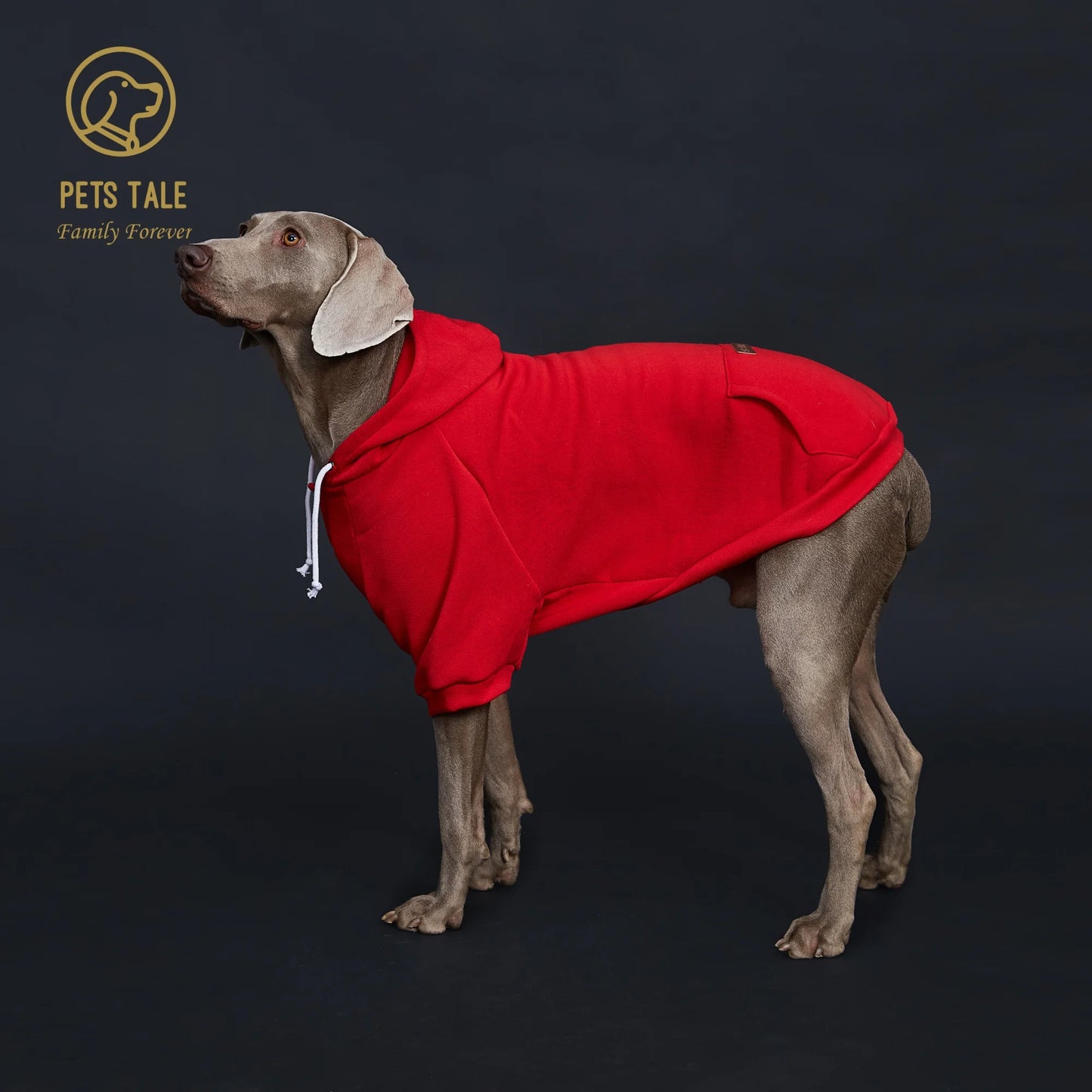 Dog Hoodie with Pocket