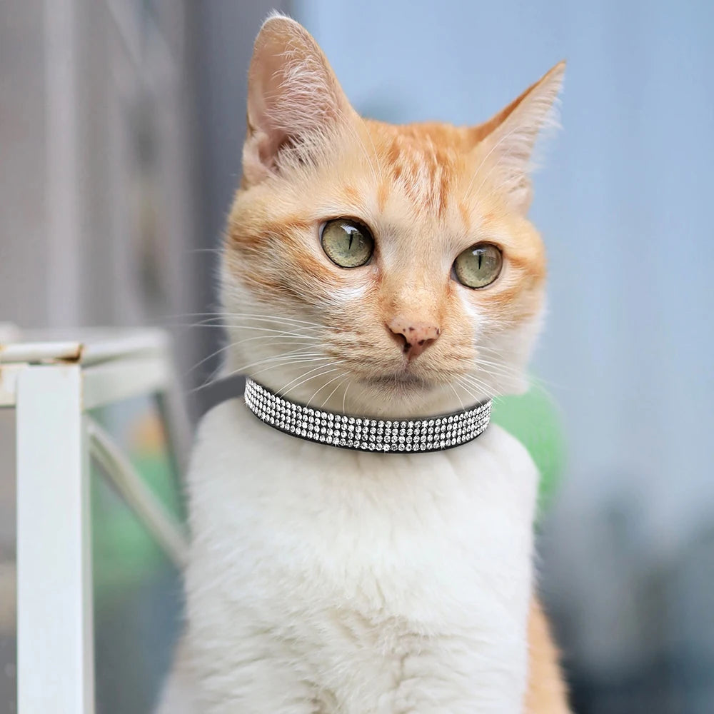 Soft Suede Cat Collar with Bell & Safety Buckle