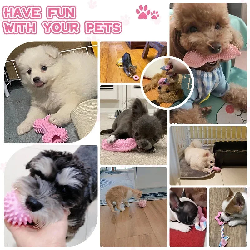 Dog Dental Chew Toy Set